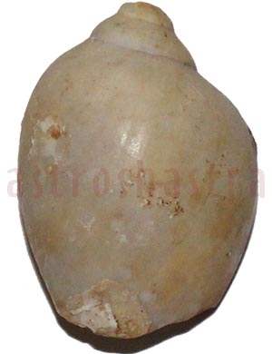 heera shankh